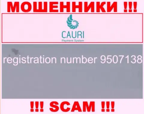 Номер регистрации, который принадлежит преступно действующей организации Каури Ком: 9507138