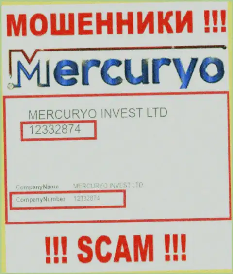 Номер регистрации преступно действующей компании Меркурио - 12332874