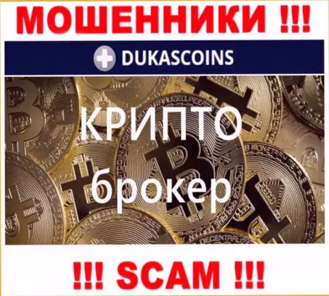 Вид деятельности internet-аферистов DukasCoin - Crypto trading, однако помните это разводняк !