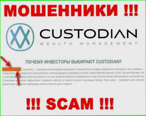 Юр. лицом, владеющим internet-мошенниками Custodian, является ООО Кастодиан