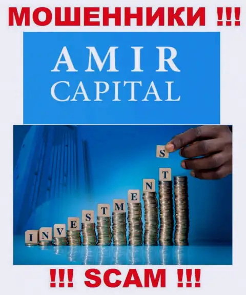 Не переводите кровно нажитые в Amir Capital, род деятельности которых - Инвестирование