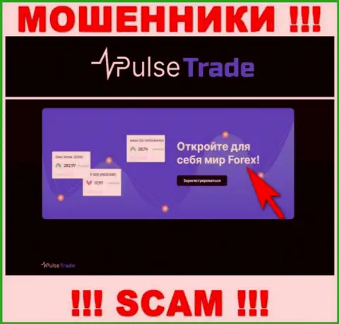 Pulse-Trade Com, прокручивая свои грязные делишки в области - ФОРЕКС, лишают денег наивных клиентов