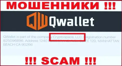 На официальном веб-сервисе Q Wallet отмечено, что этой компанией управляет Cryptospace LLC