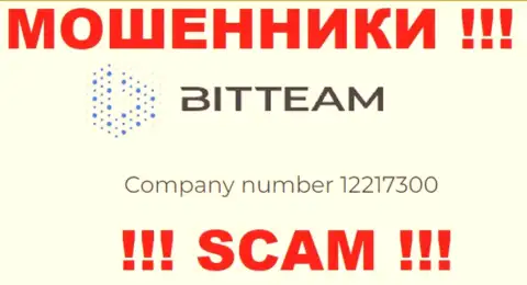 Номер регистрации организации BitTeam - 12217300