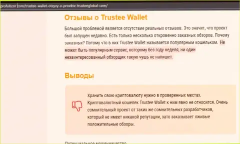 Trustee Wallet - это МОШЕННИКИ !!! Воруют финансовые вложения доверчивых людей (обзор)