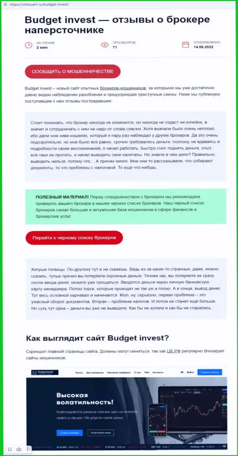 BudgetInvest - это МОШЕННИКИ !!!  - достоверные факты в обзоре неправомерных деяний компании