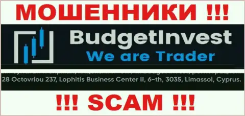 Не имейте дело с конторой BudgetInvest Org - указанные интернет лохотронщики отсиживаются в офшорной зоне по адресу 8 Octovriou 237, Lophitis Business Center II, 6-th, 3035, Limassol, Cyprus