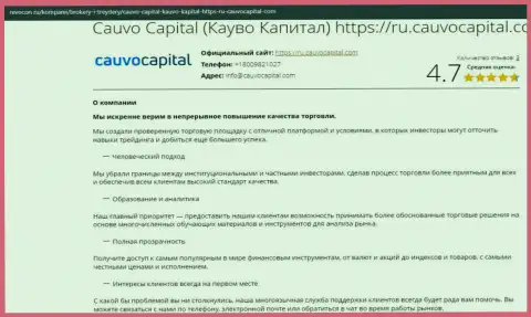 Материал об работе организации Cauvo Capital на сайте Revocon Ru