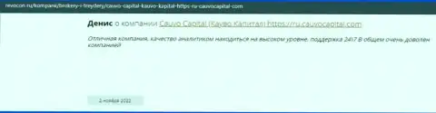 Дилинговая фирма CauvoCapital представлена в честном отзыве на сайте Revocon Ru